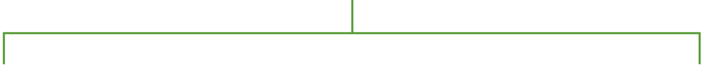 green_divider