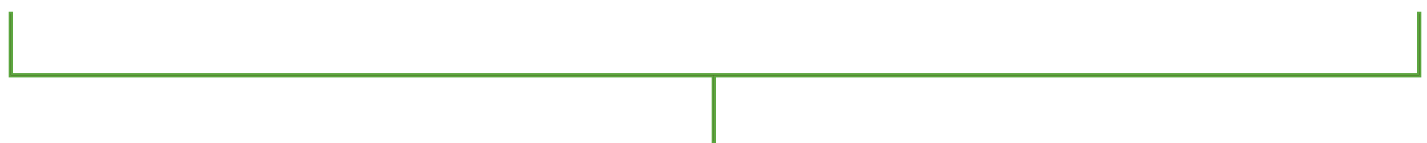 green_divider_bottom