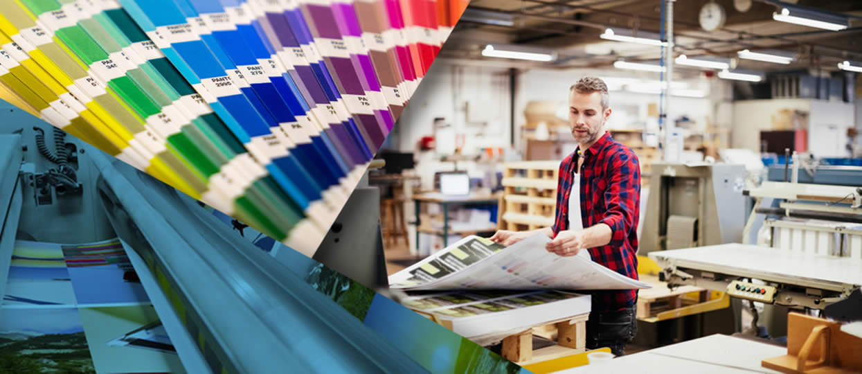 Technician working with color charts