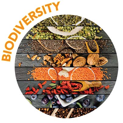 biodiversity icon