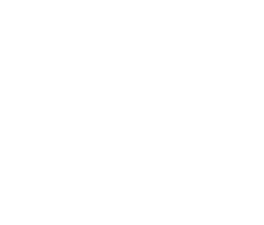 pet_mailer_functional_health_icon Functional Health icon