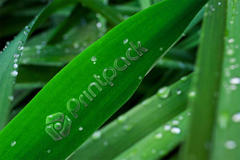 Printpack logo on green leaves